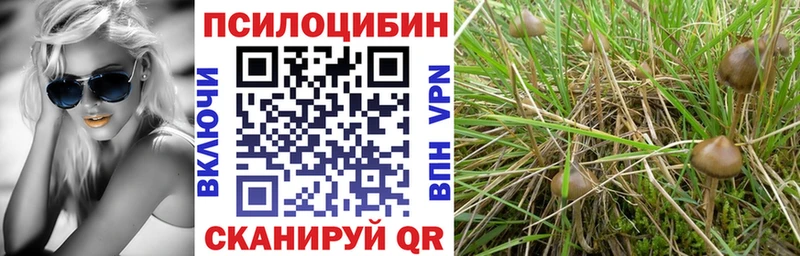 Галлюциногенные грибы мухоморы Сураж