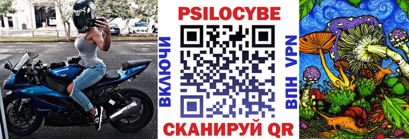 Псилоцибиновые грибы GOLDEN TEACHER  Сураж 